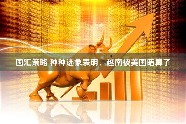 国汇策略 种种迹象表明，越南被美国暗算了